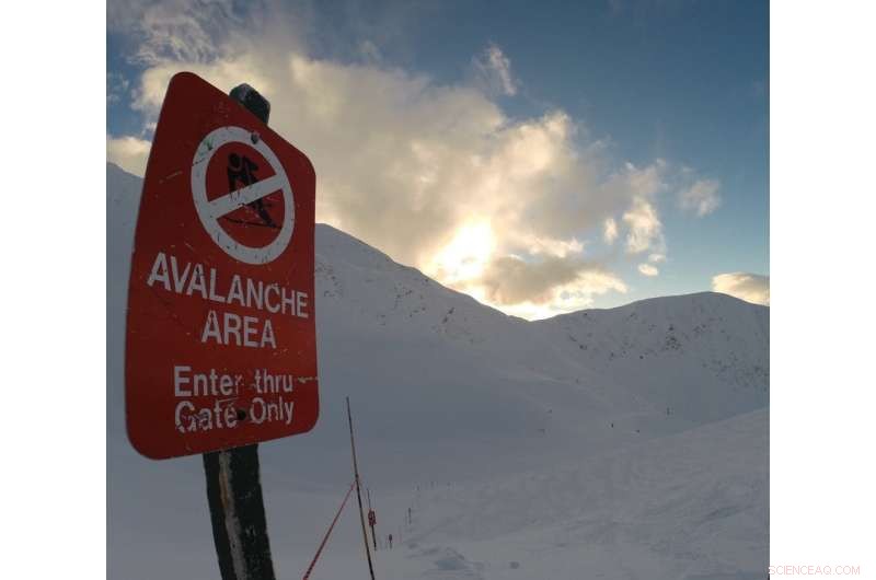 Safeguarding Food Supply Chains: Strategies to Prevent Disruptions Post‑COVID‑19