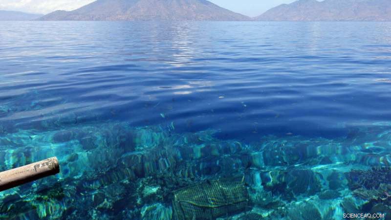 40,000 Years of Human Adaptation to Sea-Level Rise on Alor Island