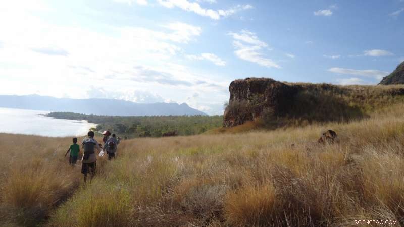 40,000 Years of Human Adaptation to Sea-Level Rise on Alor Island