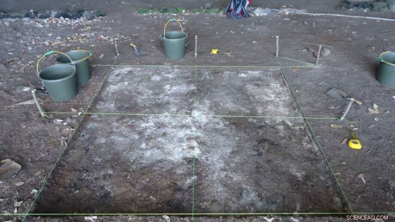 40,000 Years of Human Adaptation to Sea-Level Rise on Alor Island