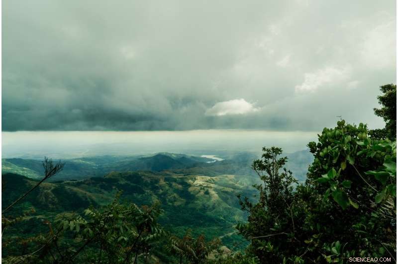 Uneven Extinction of South American Mammals After the Panamanian Land Bridge