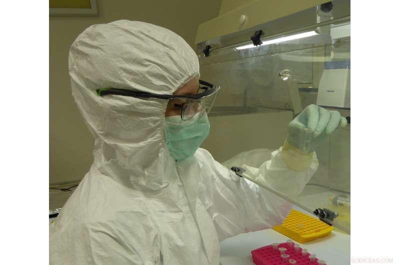 Ancient DNA from Medieval Latrines Reveals Gut Health Across Europe and the Middle East