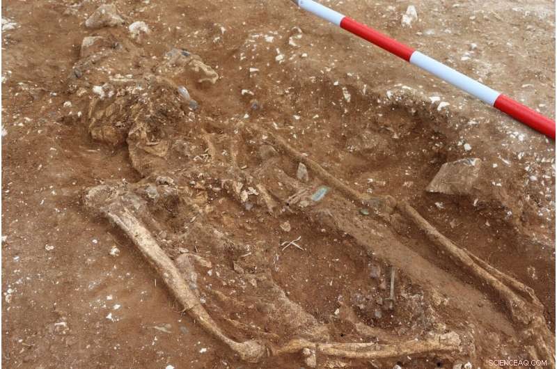 Archaeologists Discover 6th-Century Warlord Burial in Berkshire, Potentially Rewriting Post-Roman Britain