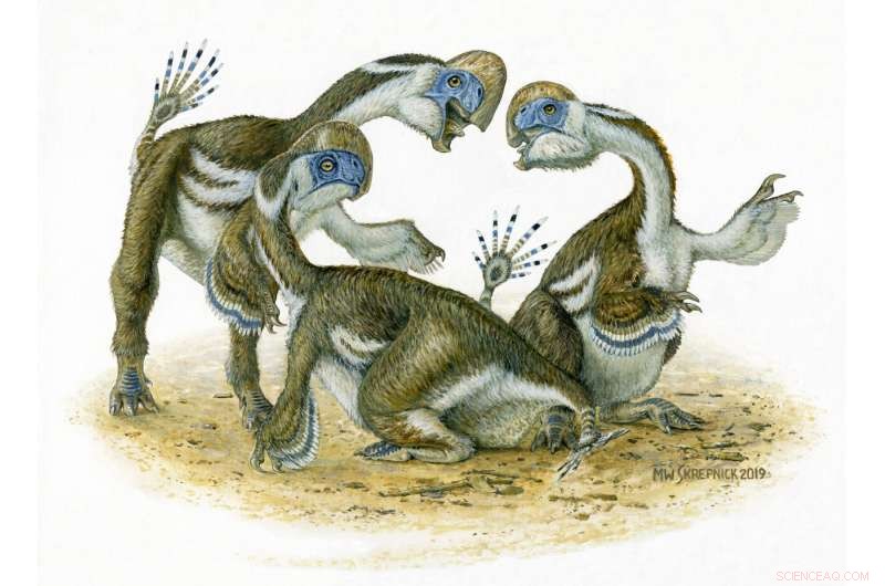 New Toothless Dinosaur Species Illuminates Parrot-Like Evolution 68 Million Years Ago