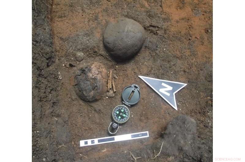 Reconstructing Pre-Columbian Amazonian Diets: Insights from Brazilian Coastal Communities