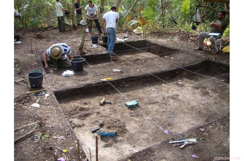 Reconstructing Pre-Columbian Amazonian Diets: Insights from Brazilian Coastal Communities
