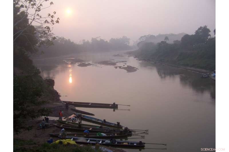 Tracing Ancient Rainforests Through Mammalian Diets