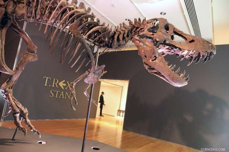 Record-Breaking $31.8 Million Sale: T‑Rex Fossil Sets New Auction High
