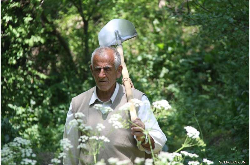 COVID-19 Exacerbates Financial Hardship for Low‑Income Workers in Developing Nations