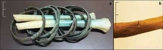 Iron Age Village Massacre Revealed by New Archaeological Findings