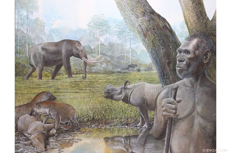 How Historical Tropical Forest Changes Triggered Extinctions of Megafauna and Early Humans