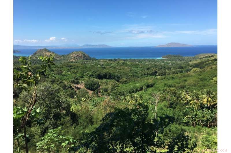 How Historical Tropical Forest Changes Triggered Extinctions of Megafauna and Early Humans