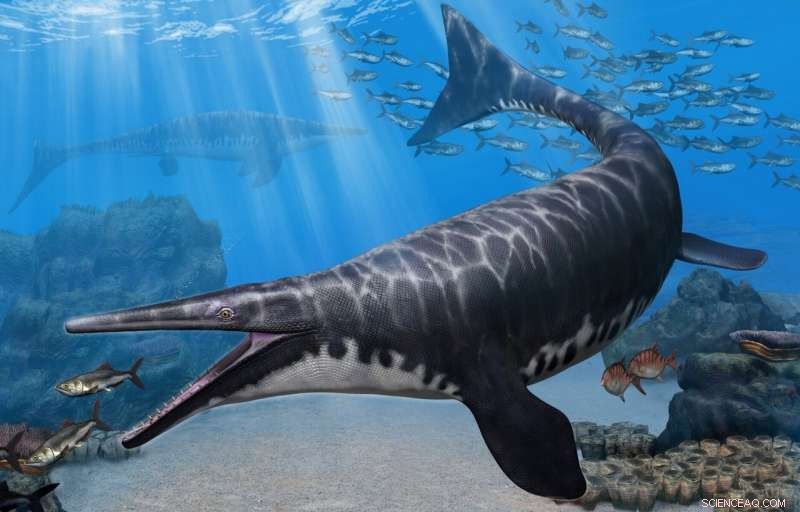 New Mosasaur Species Discovered in Morocco: A Paleontological Breakthrough