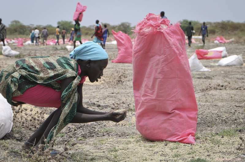 World Food Programme Awarded Nobel Peace Prize for Global Hunger Relief