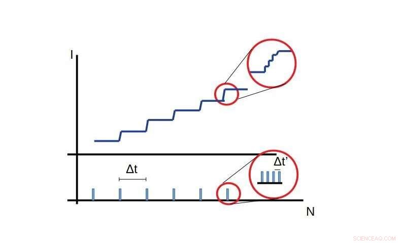Fractal Analysis Unveils COVID‑19 Transmission Dynamics