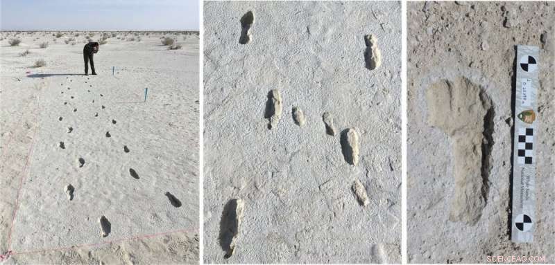 The Longest Prehistoric Journey Unveiled: Scientific Insights from Fossil Footprints