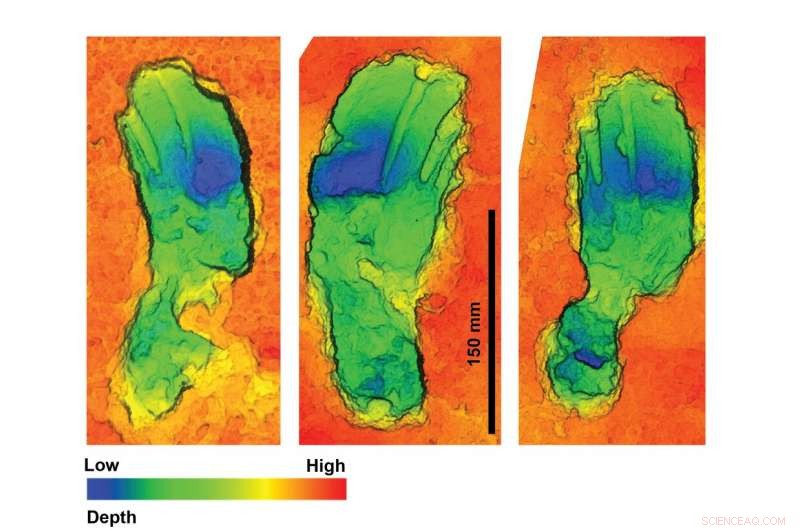 The Longest Prehistoric Journey Unveiled: Scientific Insights from Fossil Footprints
