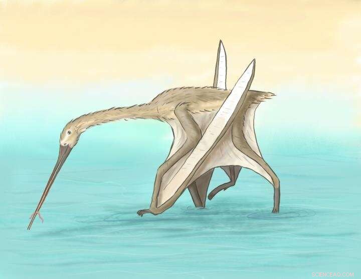 New Pterosaur Species Unveiled: Unprecedented Toothless Beak Discovered