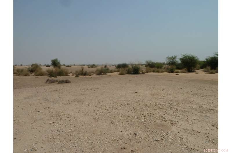 Earliest Confirmed River Flow in the Thar Desert, 173,000 Years Ago