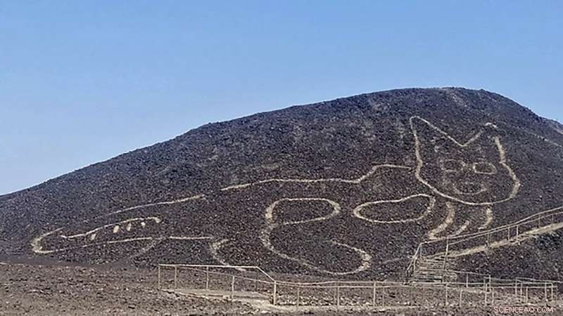 Peru Reveals Massive Cat Etching at Iconic Nazca Lines Site