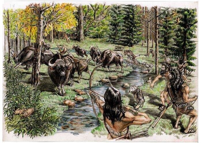 New Study Reveals Ancient Bovid and Rhinoceros Species on Tibetan Plateau 5,200 Years Ago