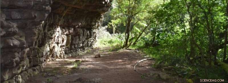 New Study of South Africa’s Umhlatuzana Rock Shelter Illuminates Middle and Later Stone Age Human Behavior