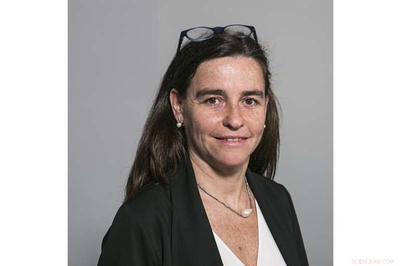 Enhancing Team Learning in Distance Education: Five Key Evidence-Based Factors