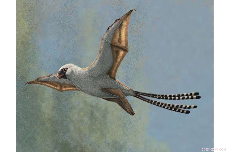 Small Dinosaurs with Bat-Like Wings: Gliding Pioneers That Fell Short