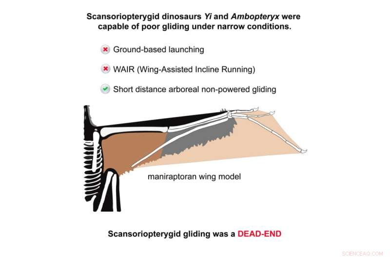 Small Dinosaurs with Bat-Like Wings: Gliding Pioneers That Fell Short