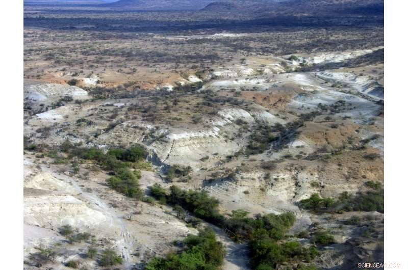 How Turbulent 320,000-Year-Old Environments Sparked Rapid Human Evolution and Technological Innovation