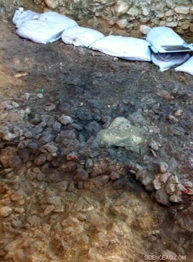 Unveiling Prehistoric Fire Use: How Fire Conditions Shape Human Behavior