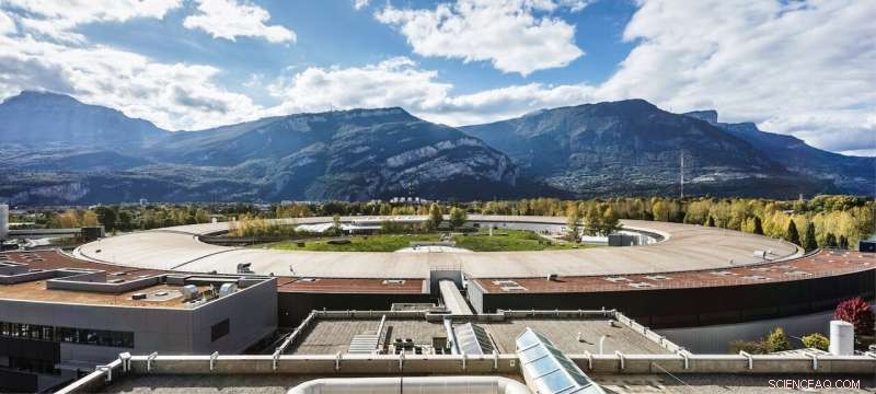 New Study Reveals Composition of Ancient Egyptian Red and Black Papyrus Inks