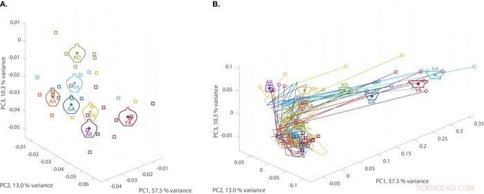 Identifying Individual Potters: Detecting Subtle Differences in Uniform Traditional Pottery