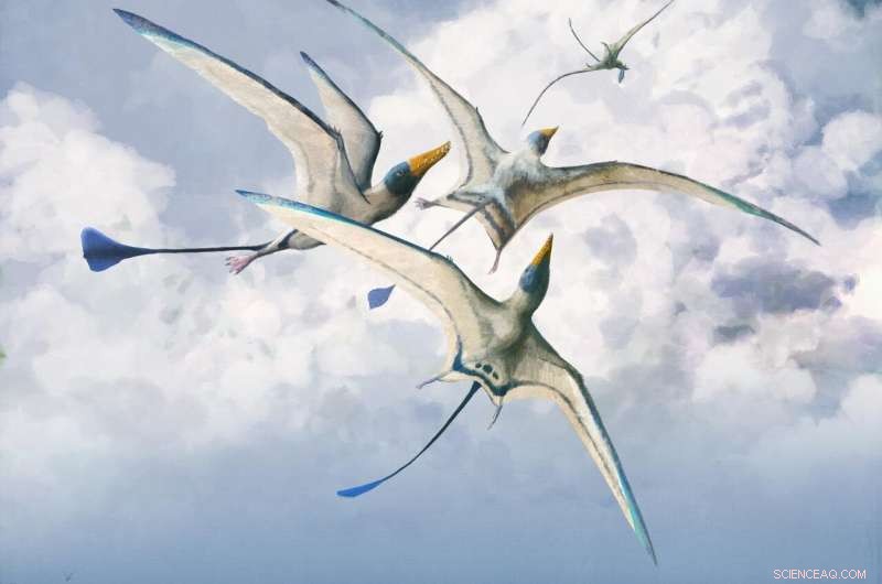 The Evolutionary Journey of Giant Lizards: From Ground to Sky