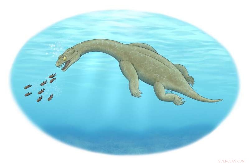 Ancient Marine Predator Revealed: A Built-In Floater from the Cretaceous Seas