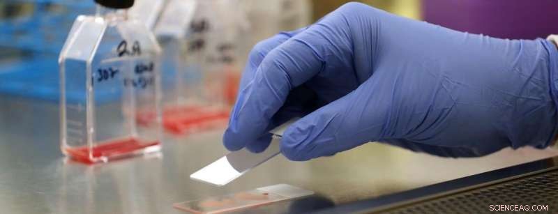 Elevating Science Education Through Authentic Research