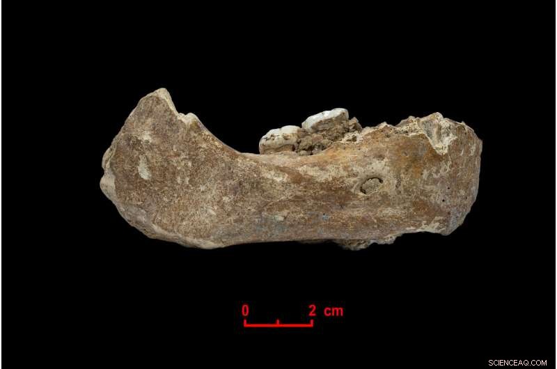 Ancient Mongolian Woman s DNA Reveals Denisovan Heritage and Western Eurasian Ancestry