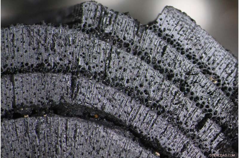 Archaeologists Uncover Resilient Societies Amid Climate Change in Ancient Turkey