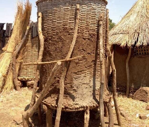 How Seasonal Harvest Cycles Shape Zambia s Rural Agriculture and Farmers  Livelihoods