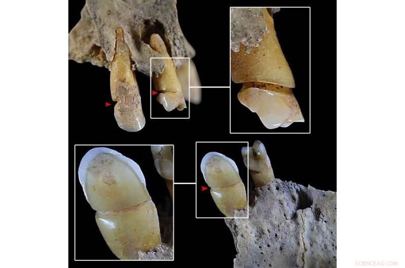 Gendered Tool Use 4,000 Years Ago: Women’s Role in Early El Argar Culture