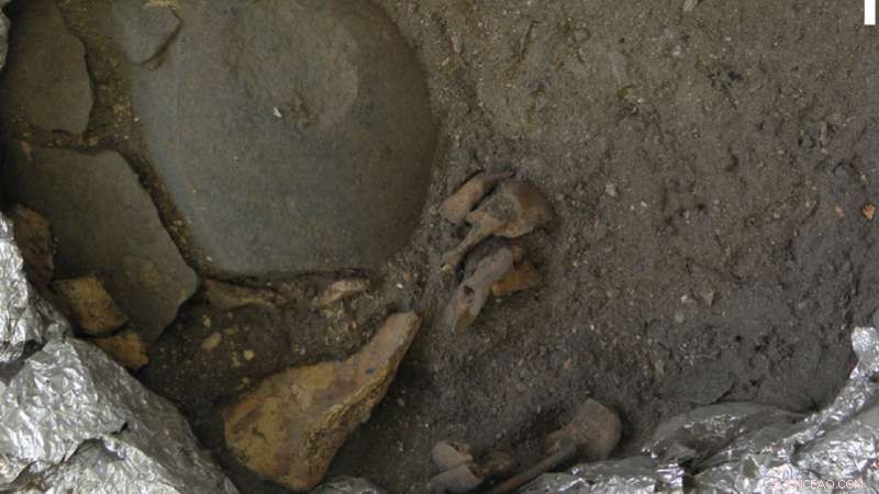 Ancient 8,000‑Year‑Old Child Burial on Alor Island Unveils Early Holocene Rituals