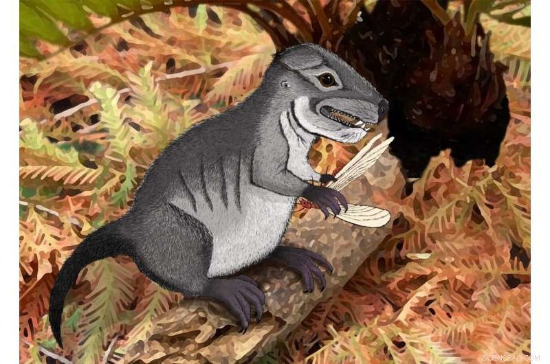 Discovery of a 220‑Million‑Year‑Old Cynodont Species Unveils New Pre‑Mammalian Evolution Insights