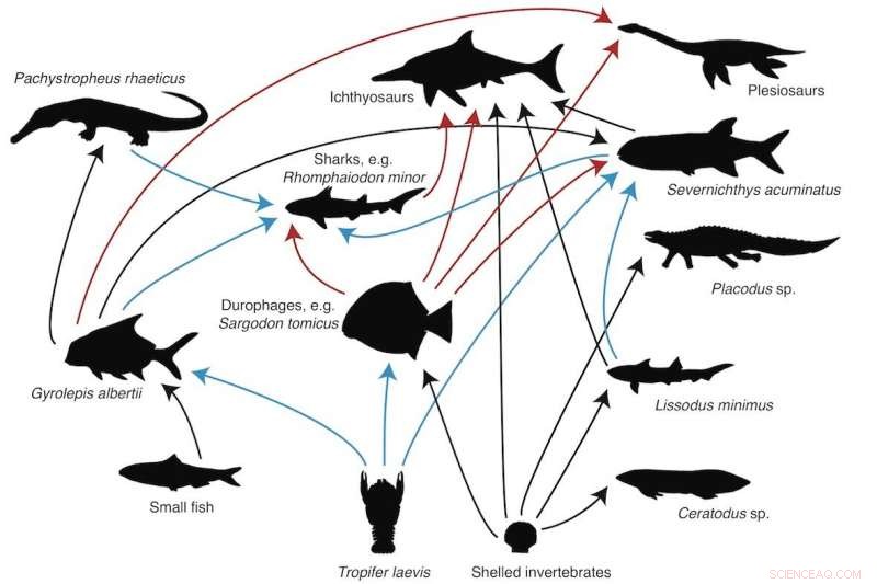 Fossilized Excrement Uncovers 200‑Million‑Year‑Old Marine Food Webs