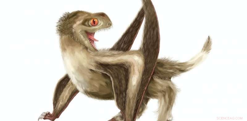 Feather Origins Unveiled: How Pterosaur Discoveries Spark New Scientific Debate