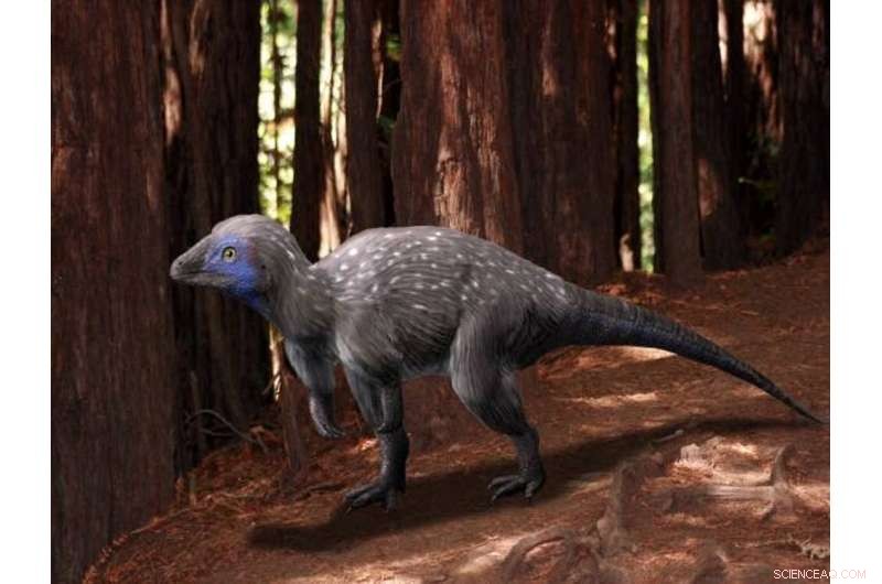 Feather Origins Unveiled: How Pterosaur Discoveries Spark New Scientific Debate