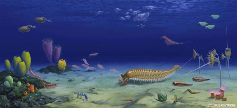 520‑Million‑Year‑Old Five‑Eyed Fossil Illuminates Arthropod Origins