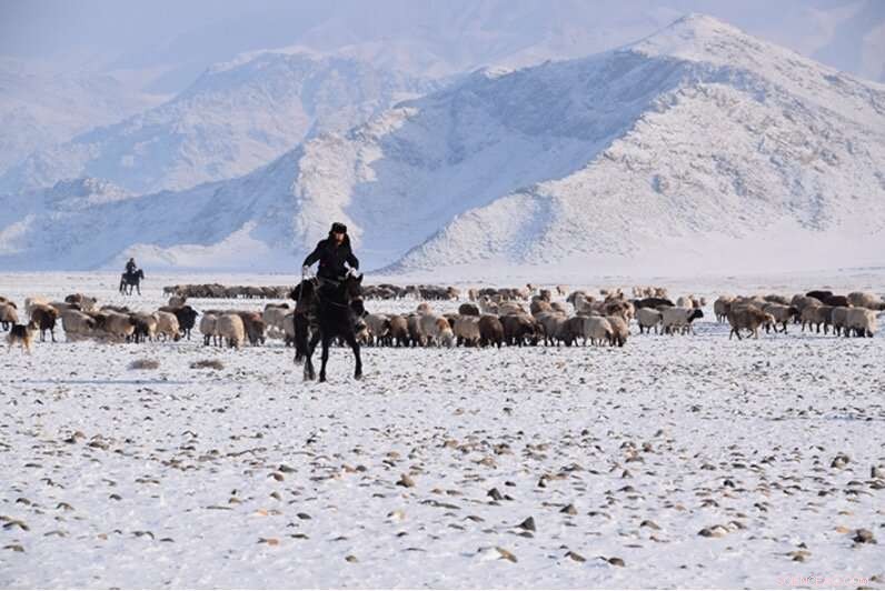 Ancient Bronze Age Migration Routes in Xinjiang Uncovered by Innovative Archaeological Method