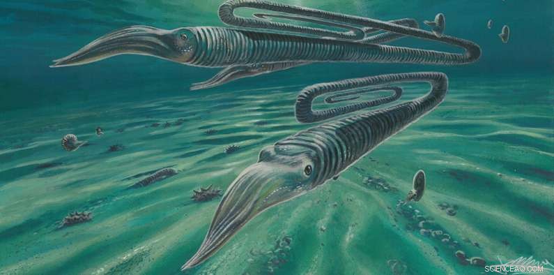 Scientists Discover That Ancient Paperclip‑Shaped Ammonite Lived for Centuries