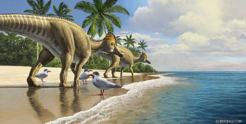 New African Duckbill Dinosaur Fossil Reveals Oceanic Migration of Dinosaurs