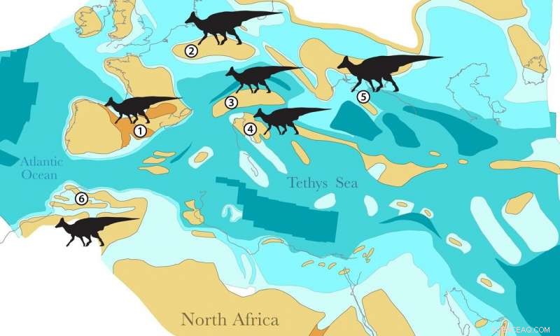 New African Duckbill Dinosaur Fossil Reveals Oceanic Migration of Dinosaurs